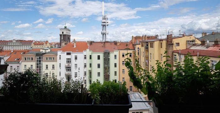 45 Slezská, Vinohrady - Image 4