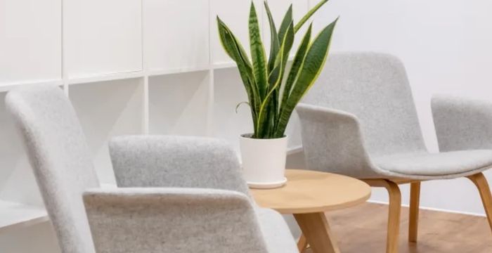 Roodraksh Mall - Image 4