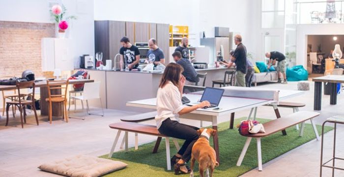 103 Carrer De Mallorca, Barcelona - Image 5