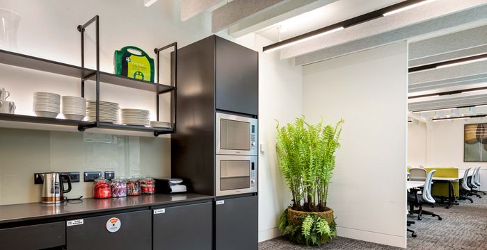 5 Dame Ln, Dublin - Image 5