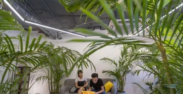 Hoang Dao Thuy, Cau Giay District - Image 2