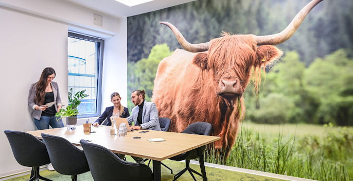 30 Hansastrasse, Dortmund - Image 3