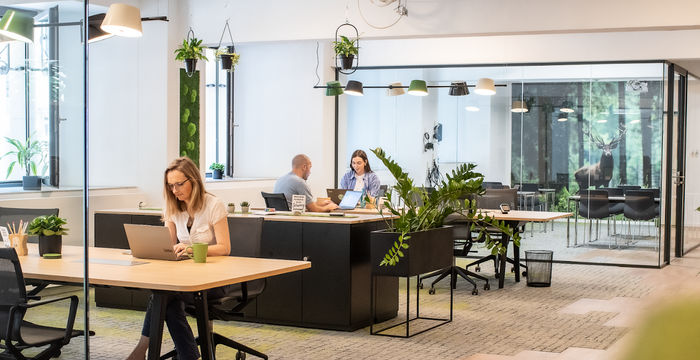 41 Lindenallee, Essen - Image 5