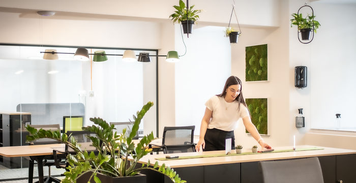 41 Lindenallee, Essen - Image 5