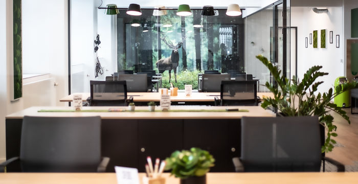 41 Lindenallee, Essen - Image 2