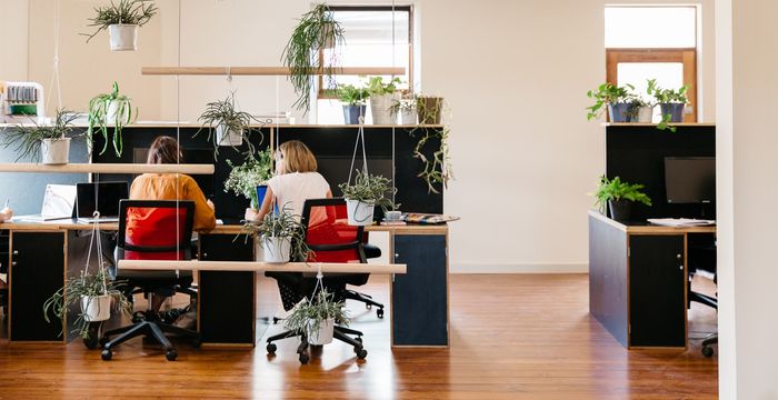 268 Pirie Street, Adelaide - Image 2