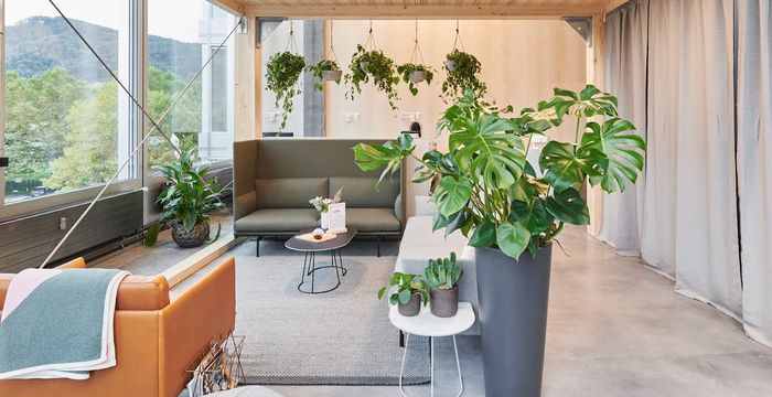 253 Albisriederstrasse, Zürich - Image 2