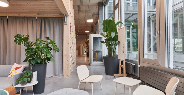 253 Albisriederstrasse, Zürich - Image 5