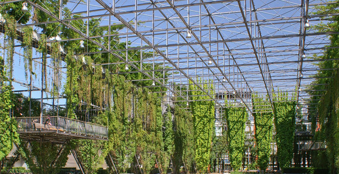 FlexOffice Dino - Image 4