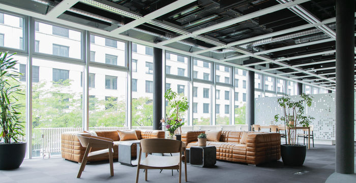 FlexOffice Dino - Image 2