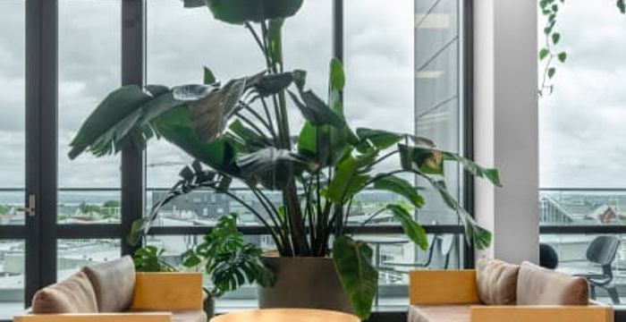 4 Williamson Avenue, Auckland - Image 4