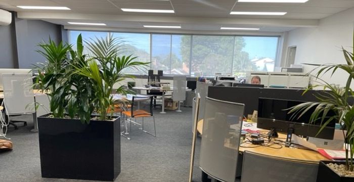 121 Alexander Street, Crows Nest - Image 4