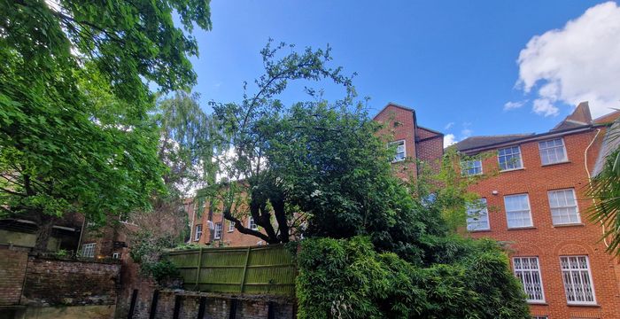 2/10 Bridge Street, Reading - Image 4