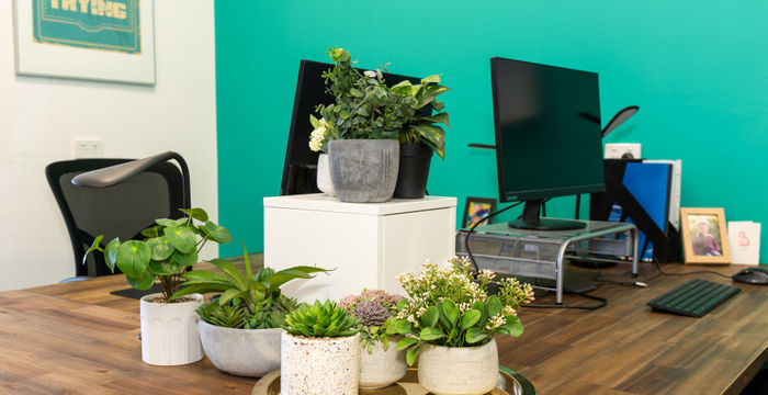 210 Macquarie Road, Springwood - Image 3