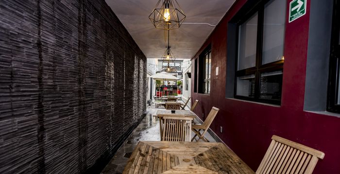 316 Eugenio Sue Polanco Polanco Iv Secc Miguel Hidalgo, Ciudad De México - Image 5