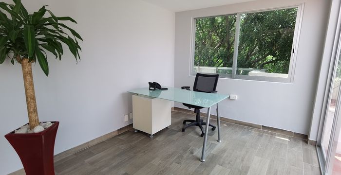 85-B Edgar Allan Poe Polanco Polanco Iii Secc Miguel Hidalgo, Ciudad De México - Image 4