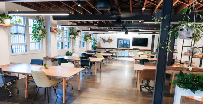 137-141 Bridge Road, Glebe - Image 3