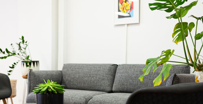 452 Pulteney Street, Adelaide - Image 3