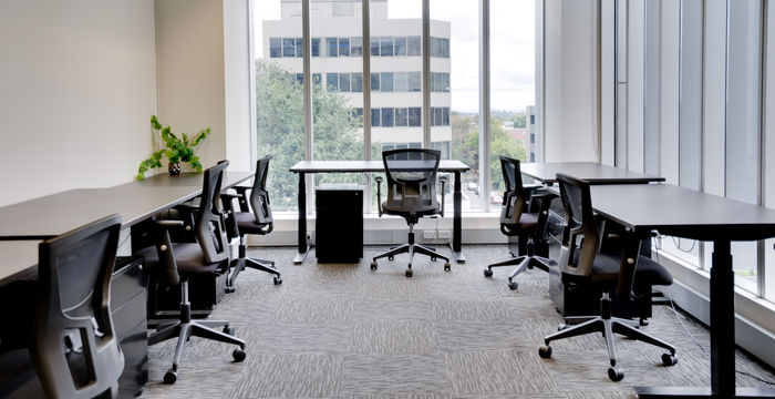 990 Whitehorse Road, Box Hill - Image 4