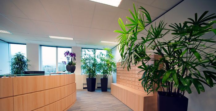 6 H Collines De Av Pasteur, Wavre - Image 2