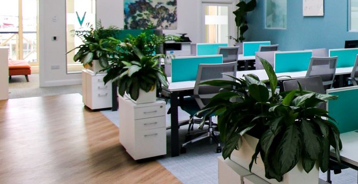 Marina Village Malahide, Dublin - Image 4