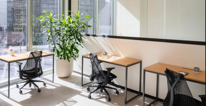 3390 Mary Street, Miami - Image 3