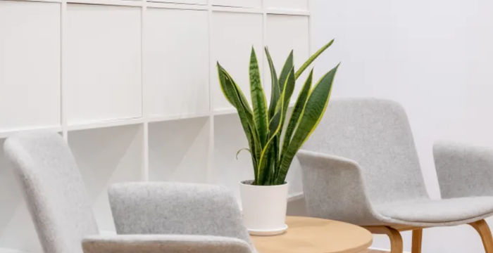 4250 Veterans Memorial Hwy 4250 Veterans Memorial Hwy, Holbrook - Image 2