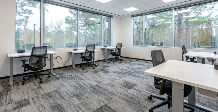 4576 Research Forest Dr, The Woodlands - Image 3