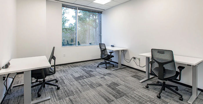 4576 Research Forest Dr, The Woodlands - Image 5