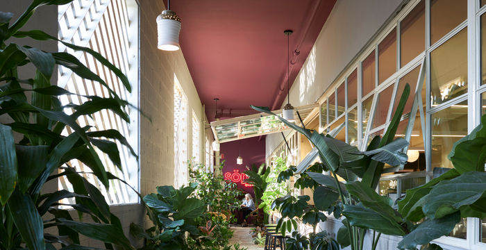 1301 N Broadway, Los Angeles - Image 5