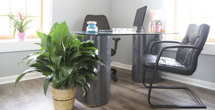 965 Main St B, Stone Mountain - Image 4