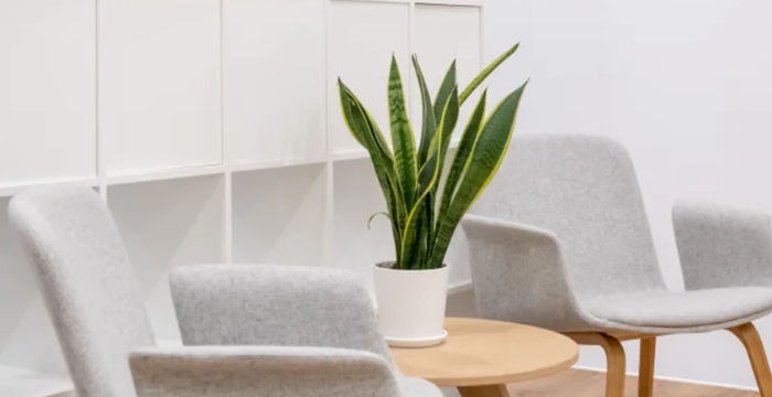 Brockenweg 2, Hall In Tirol - Image 2