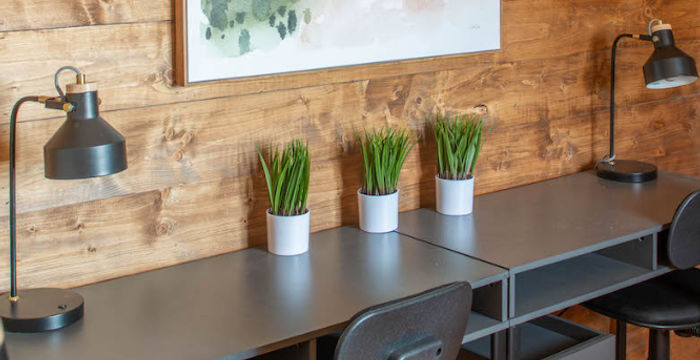 1120 Mars Hill Rd, Watkinsville - Image 3