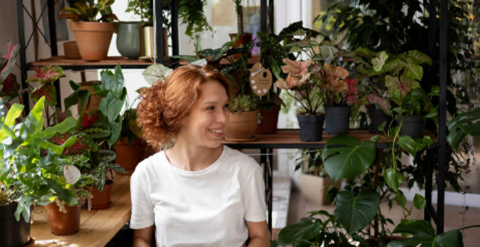 14280 Rue Rolland-desjardins, Mirabel - Image 2