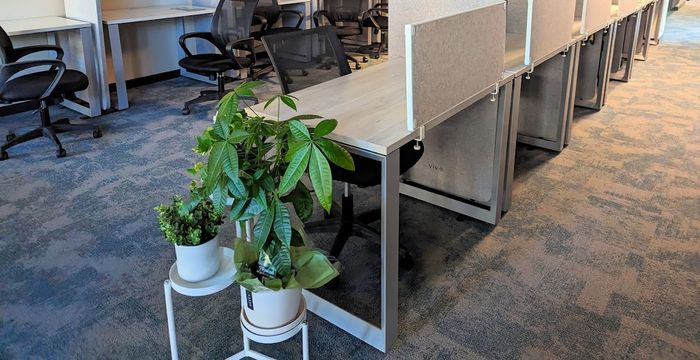 3999 Henning Drive, Burnaby - Image 4