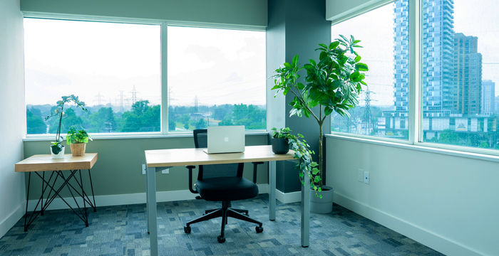 5343 Dundas Street West, Toronto - Image 4