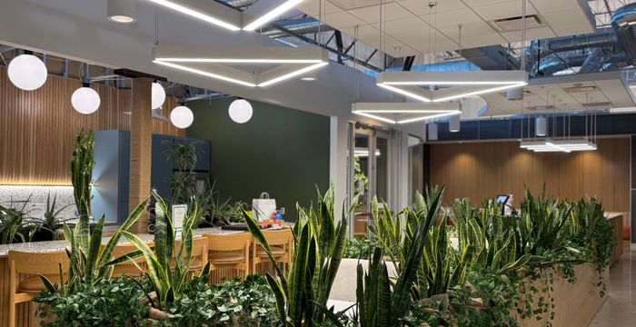 4750 South 44th Place, Phoenix - Image 3