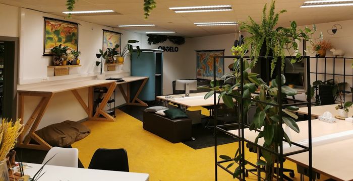 237 Lispersteenweg, Lier - Image 4