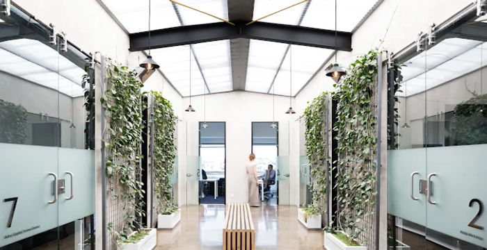 206 Jervois Road, Herne Bay 206 Jervois Road, Herne Bay - Image 2