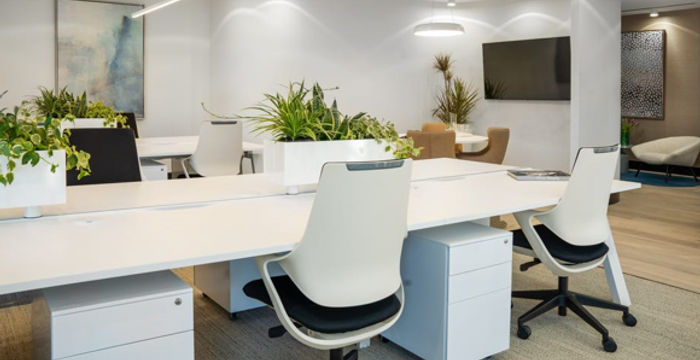 50 Berry St, Sydney - Image 4