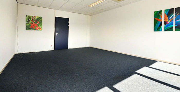 1 Stenograaf, Duiven - Image 5