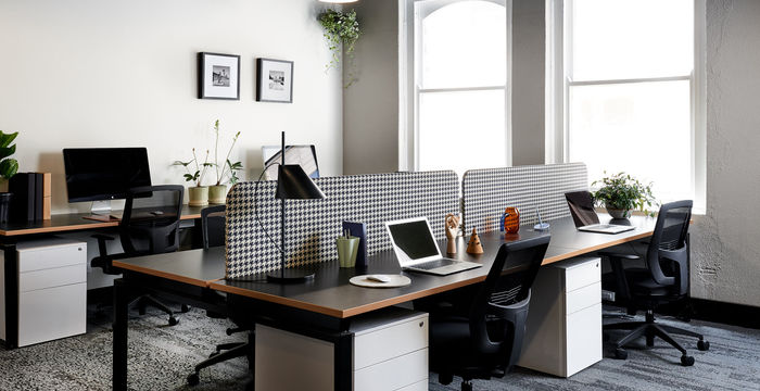 822 George Street, Chippendale - Image 3