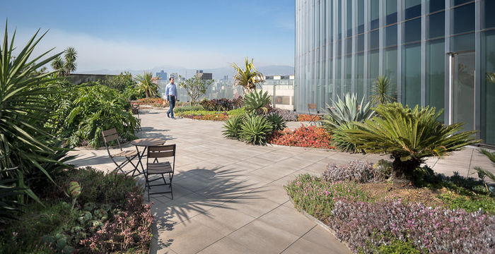 20 Av Insurgentes Sur, Roma Norte - Image 4