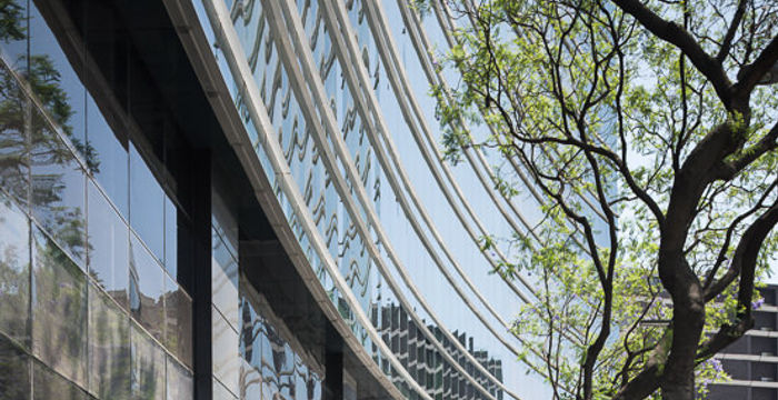 20 Av Insurgentes Sur, Roma Norte - Image 5