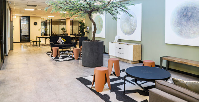 51 Gogosoa Street, Observatory - Image 4