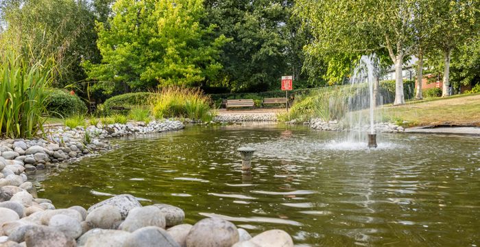 510 Coldharbour Lane, Stoke Gifford - Image 5