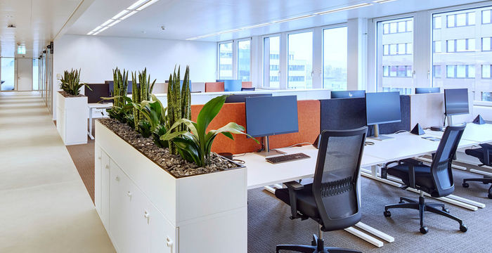 16 Hinterbergstrasse, Steinhausen - Image 4