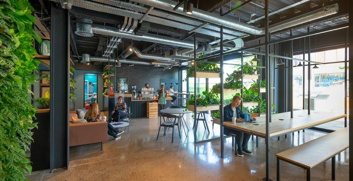 2 Paddington Village, Liverpool - Image 3