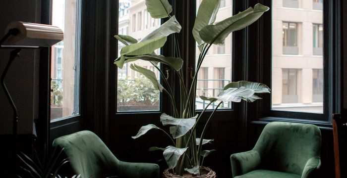 15 Hanover Square Mayfair, Greater London - Image 4