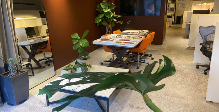 24 Orwell Street, Potts Point - Image 3